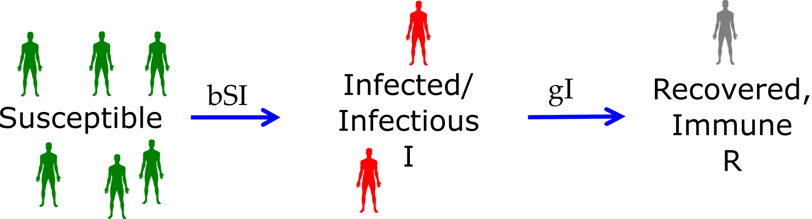 basic SIR model diagram