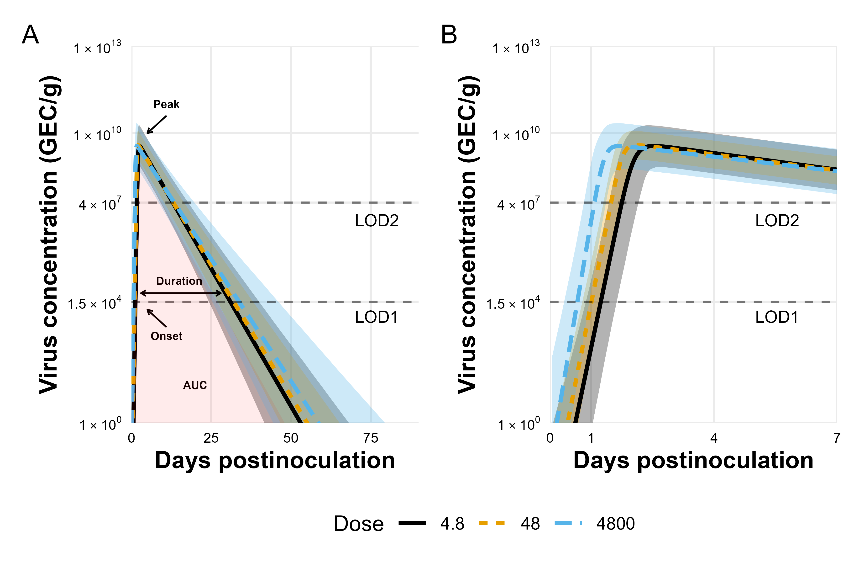 viral kinetics for norovirus